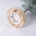 thumbnail image 2 of Los clientes traen sus propias 3 pilas AA tamaño de embalaje 50x13x13cm Luces de árbol de aguja de pino LED de 50 luces árbol iluminado para dormitorio decoración de escena de ANGGREK Otros, 2 of 8