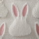 thumbnail image 4 of 2pcs Cubierta Almohada Lanzamiento Pascua, 4 of 5