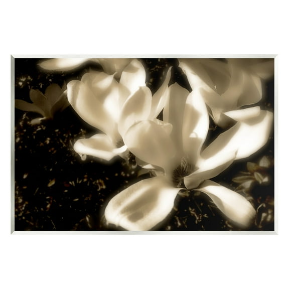 Stupell Industries Plant Petals in Nature Botanical & Floral Photography Unframed Art Print Wall Art, 15 x 10