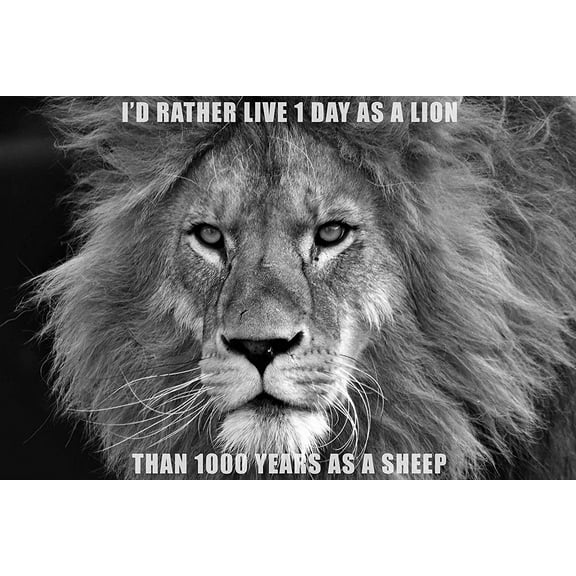 EzPosterPrints - Most Popular Lion Theme Quote Posters - Power Strength Brave Beast Motivational Quotes Poster Printing - Wall Art Print for Home Office - LIVE - 18X12 inches