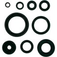 thumbnail image 1 of Winderosa Oil Seal Kit 822117, 1 of 3