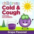 Equate Children's Cold and Cough, Red Grape Flavor, 8 oz