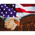 thumbnail image 2 of Diamond Dotz Diamond Embroidery Facet Art Kit, 25.5" x 35.5", Bald Eagle & Flag, 2 of 2