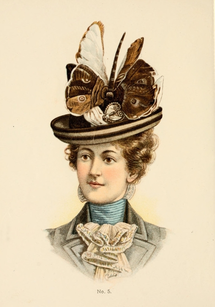 Fine Millinery 1899 Hat 5 Poster Print 