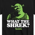 thumbnail image 3 of Shrek - What The Shrek - Toddler & Youth Short Sleeve Graphic T-Shirt, 3 of 5