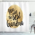 thumbnail image 1 of Ambesonne Grandma Shower Curtain, Doodle Style Circular Motif, 69"Wx75"L, Charcoal Grey White, 1 of 3
