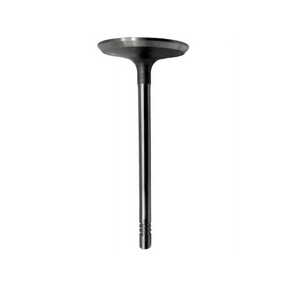 Intake Valve - Compatible with 2002 - 2012 Jeep Liberty 3.7L V6 2003 2004 2005 2006 2007 2008 2009 2010 2011