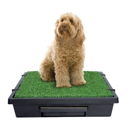 PetSafe Pet Loo Portable Dog Potty - Pet Toilet Alternative for Puppy Pads - Perfect for House Training