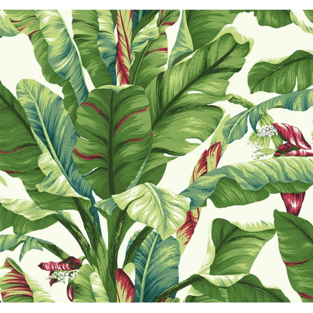 Hedendaags Tropics Banana Leaf Wallpaper - Walmart.com - Walmart.com SJ-34