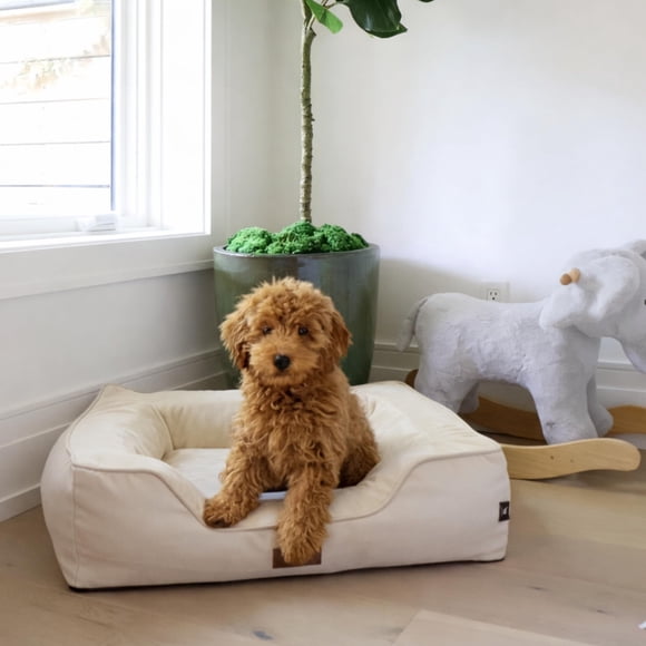 JACKO & CO - Premium Orthopedic Dog Bed with Egg Crate Memory Foam – Waterproof Lining & Removable Machine Washable Cover â€