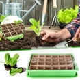 thumbnail image 4 of 24 Cells Gardening Mini Breathable Lids Plastic Germination Box Nursery Pots, 4 of 5