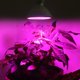 thumbnail image 5 of Bombilla De Luz De Planta 200LED Luz De Planta Consumo De Energía Para Plantar Flores Plántulas De Cultivo De Tejidos Vegetales ANGGREK Otros, 5 of 8