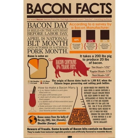 Restaurant Decor - Bacon Facts 36x24 Art Print Poster Wall Decor Restaurant Kitchen Man Cave Pork Buttock BLT Education Smart Pig FoodPaper Size: 36x24 By aquarious