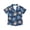 Beach Sunset, variant on Garronmavis Sea Turtle Shirts for Boys Girls 3T-4T Button Down Hawaiian Shirt Short Sleeve Casual Beach Vacation Clothes Lightweight Breathable Summer Tops School Daily Wear