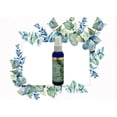 thumbnail image 3 of Mystic Romance Premium Fragrances Oils EUCALYPTUS MINT Air Freshener Spray 2OZ-60ML, 3 of 4