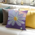 thumbnail image 3 of BANET Double-Side Short Plush Pillow Case Pillow for and Short Plush Room Decor 20x20in, 3 of 5