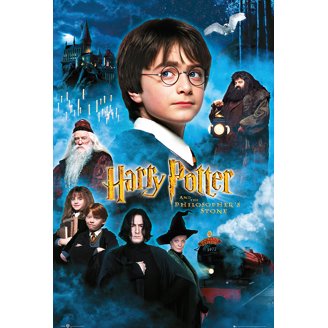 Harry Potter and the Order of the Phoenix Movie Poster Framed or
