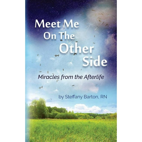 Meet Me On the Other Side: A Journey Home, (Paperback)