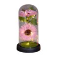 thumbnail image 2 of PATLOLLAV Sunflower Gifts for Women, Sunflowers Artificial Flowers in Glass Dome with LED Strip, Birthday Gifts for Mom & Grandma, Sunflower Decor on Mother's Day, Christmas, Valentine's Day&nbsp;, 2 of 6
