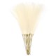 thumbnail image 1 of 25 Paquetes de Hierba Pampas Falsa de 21 Pulgadas para Decoración del Hogar, Crema, 1 of 6