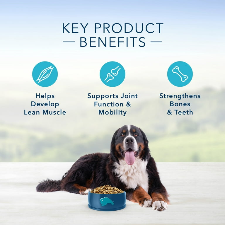 Blue Buffalo Life Protection Formula Natural Adult Large Breed Dry