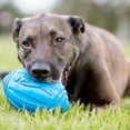 thumbnail image 4 of Balón de Fútbol Nerf Dog Azul con Squeaker, 4 of 7