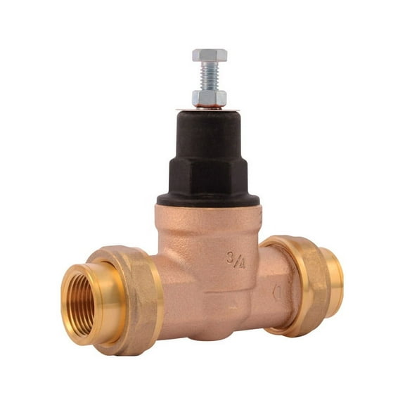 Cash Acme EB-45 Series 3/4 in. FNPT Bronze Water Pressure Regulating Valve 3/4 in. FNPT 1 pc