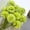 Yellow(10PCS), variant on Garloy Bridal Wedding Bouquet,Silk Faux Flowers,Wedding Fillers Arrangements,Fake Mums Flowers with Stems DIY Bouquets,Wedding Fillers Arrangements,Fake Silk Ball Flowers Mums Bouquets,1PC,9"