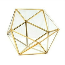 Gold Black Glass Geometric Terrarium Planter Pentagon Container Modern Decor