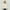 Beige, variant on toraway Cute Boys Jackets Size 14-16 No Hood Toddler Boys Girls Long Sleeve Winter Solid Color Warm Outwear Thicken Jacket Coat 4-5 Years