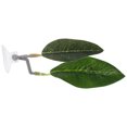 thumbnail image 3 of Shisuyan Betta Spawning Leaf Green Plastic For Betta Fish Resting 1Pack, 3 of 9