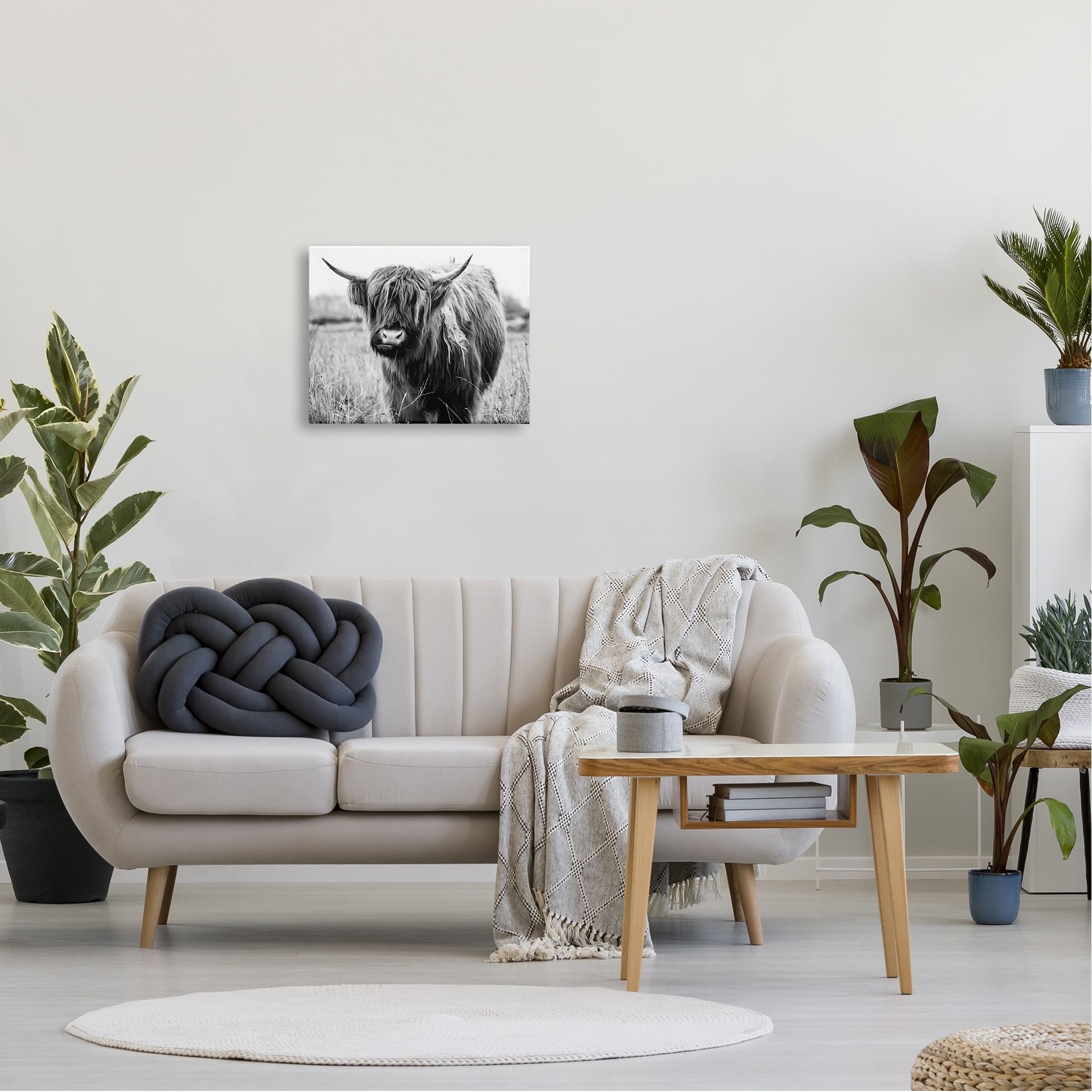 Stupell Industries Monochrome Farmland Longhorn Cattle Cow Photography Canvas Wall Art, 20 x 16, Design by Amy Brinkman