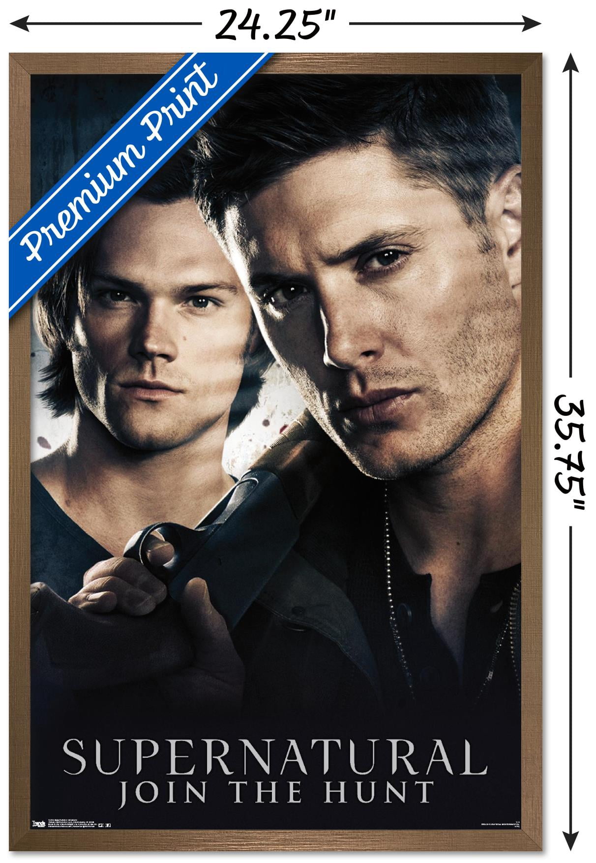 Supernatural - Brothers Wall Poster, 22.375" x 34", Framed