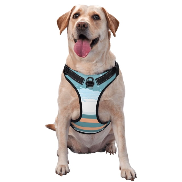 Lsque Baignoire avec Motif Bulles de Savon Harnais pour Chien, Harnais pour Animaux Anti-Traction avec 2 Clips de Laisse, Gilet Rembourré Réglable avec Poignée de Contrôle Facile pour Grands Chiens-Petits
