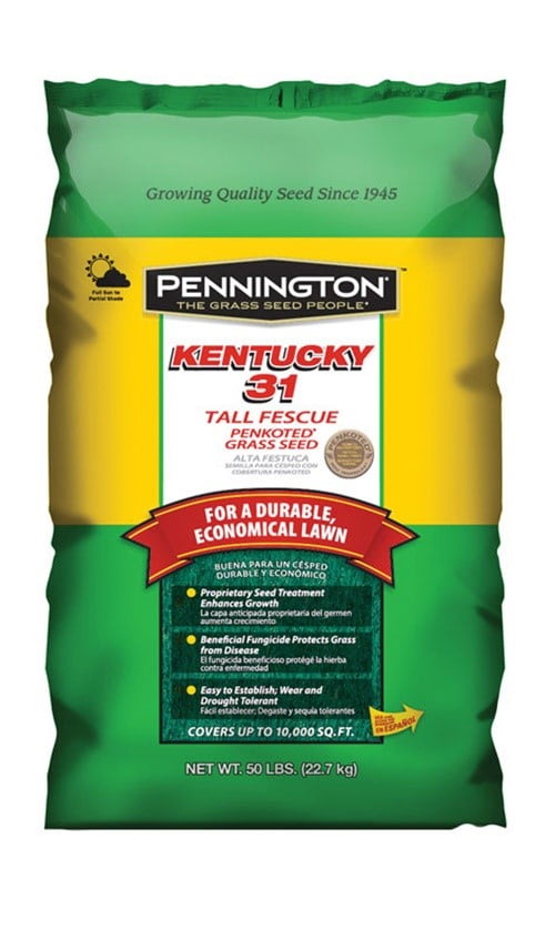Pennington Kentucky 31 Tall Fescue Grass Seed, 50 lbs, Covers Upto
