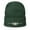 Dark green, variant on The Lightning II | F-35 Embroidered Beanie