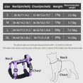 thumbnail image 4 of New Pet Dog Harness Reflective With Handle Easy Control Dog Vest Harness Adjustable Puppy Chest Straps for Small Medium Dogs ShopWise Round, 4 of 10