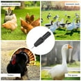 thumbnail image 4 of Nieyigj Handheld Chicken Plucker Machine Electric Poultry Defeathering Machine US Plug Black (10.2 inches / 26 cm), 4 of 8
