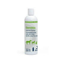 DermAllay Oatmeal Shampoo for Dogs  Cats  and Horses  12 fl oz