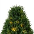 thumbnail image 2 of Vickerman Artificial 36" High x 20" Wide Cedar Teardrop Shaped Bush, Warm White 3mm LED Lights., 2 of 6