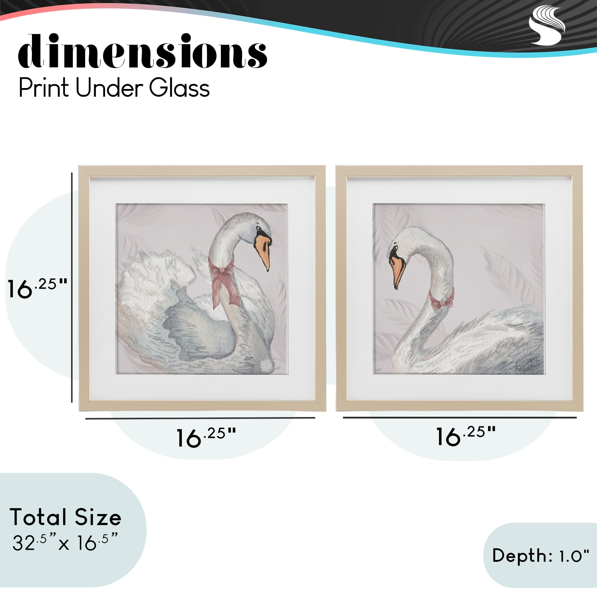 Stupell Industries Classic & Elegant Swans 2 Piece Birch Framed Print Under Glass Set, design by Elizabeth Medley