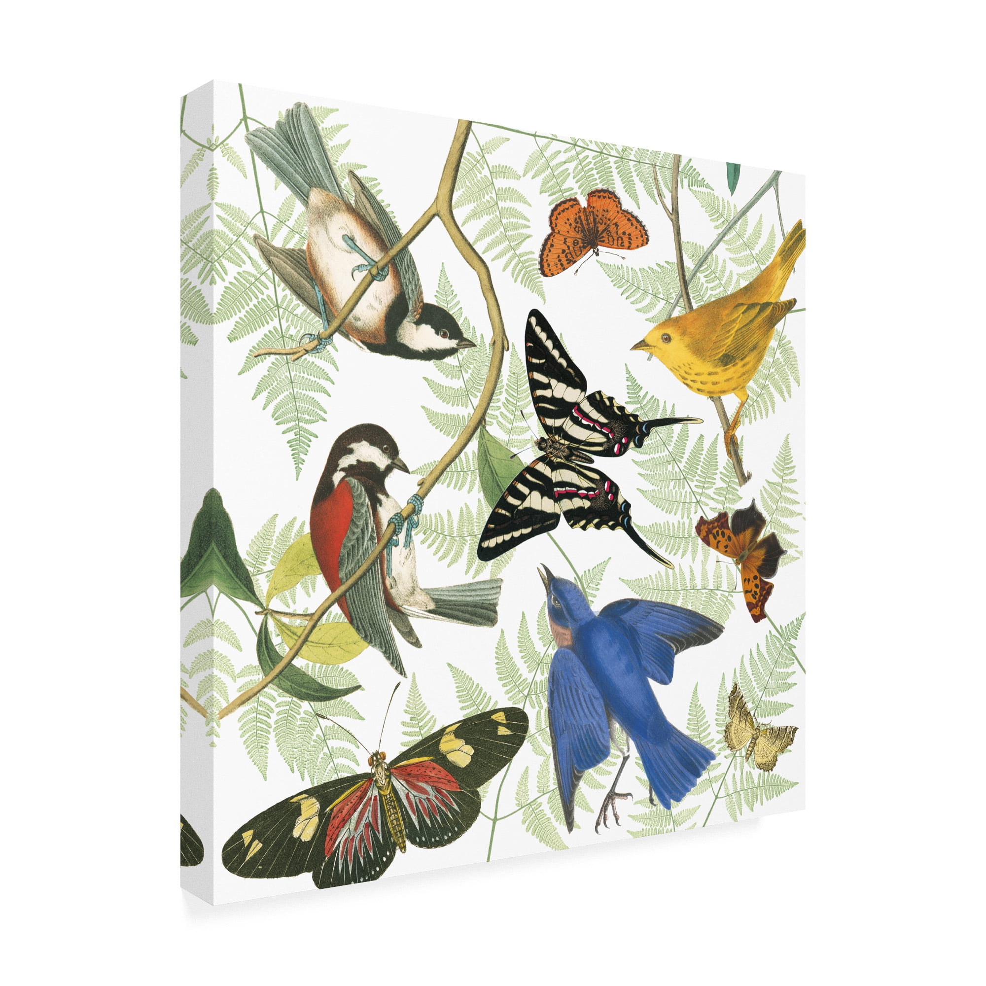 Trademark Fine Art 'Natures Flight II' Canvas Art by Wild Apple Portfolio
