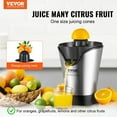 BENTISM Stainless Steel Electric Citrus Juicer, 100W Fruit Press Juice