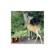 Bird-X Deer Gard Electronic Ultrasonic Deer Repeller Deer Repellent Covers 4000 Square feet Pest Animal Control