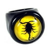 R0012-7 Ring Black Scorpion Black Ring Yellow Background Size 7