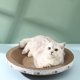 thumbnail image 5 of Cama rascador para gatos ANGGREK Grande Resistente A Los Arañazos, 5 of 8