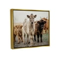 thumbnail image 4 of Stupell Industries Baby Calves on Farm Animals & Insects Photography Gold Floater Framed Art Print Wall Art, 31 x 25, 4 of 10