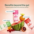 thumbnail image 2 of Suplemento Supergut Gut Healthy con sabor a GLP-1 Booster, 2 of 8