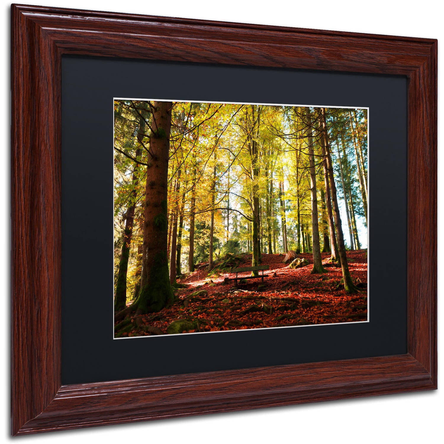Trademark Fine Art "The Autumn Bench" Canvas Art by Philippe Sainte-Laudy Black Matte, Wood Frame