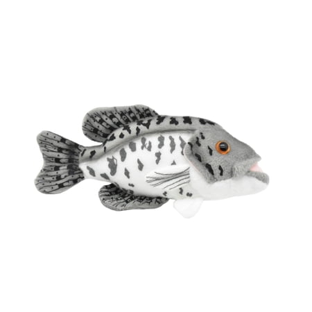 Black Crappie Plush Toy Realistic Stuffed Animal Paper mouth Soft Plush Fish Stuffed Fish Educational Toy Kids Gift 7 F4602 BB60